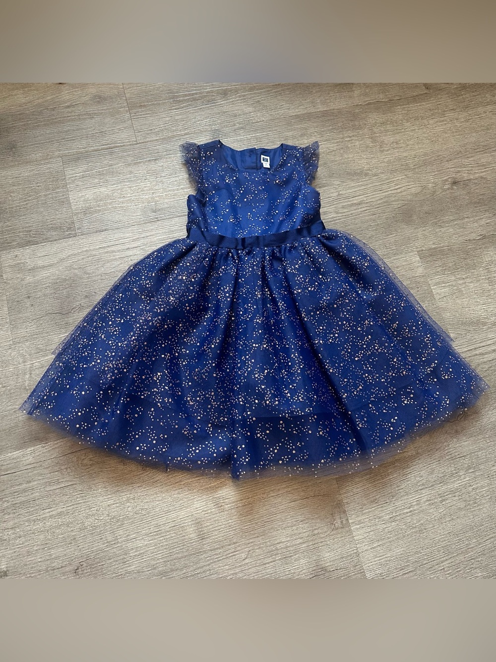 Janie & Jack Moonlight Garden blue tulle dress